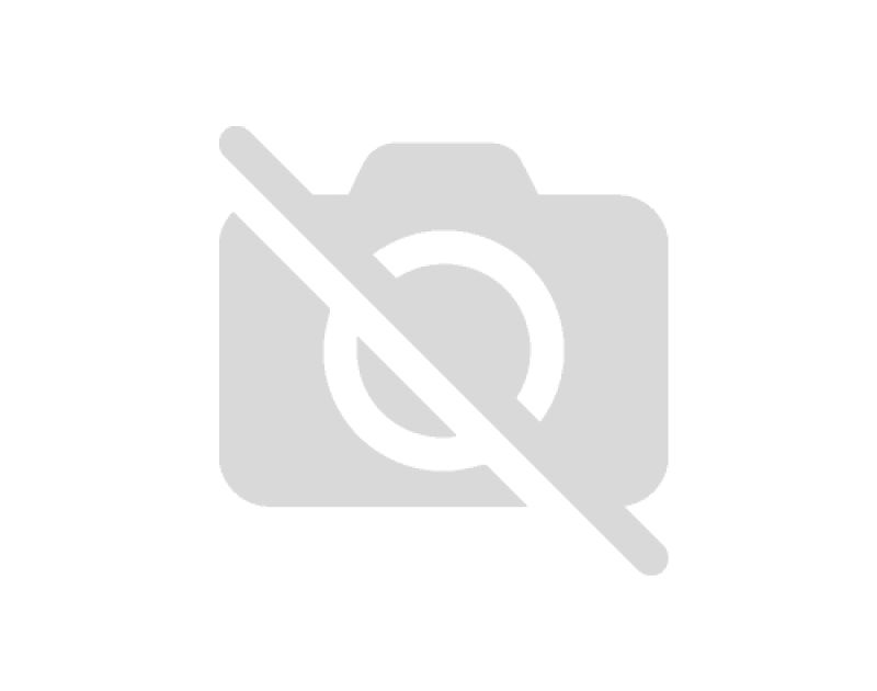 CASITA Logo